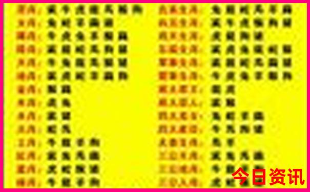 怎么去西沙群岛自由行攻略